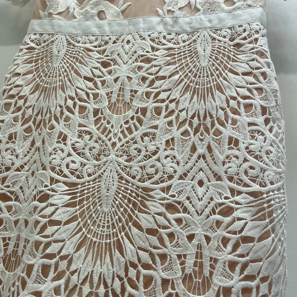Lulu’s lace mini dress with nude underlayment - Picture 5 of 8